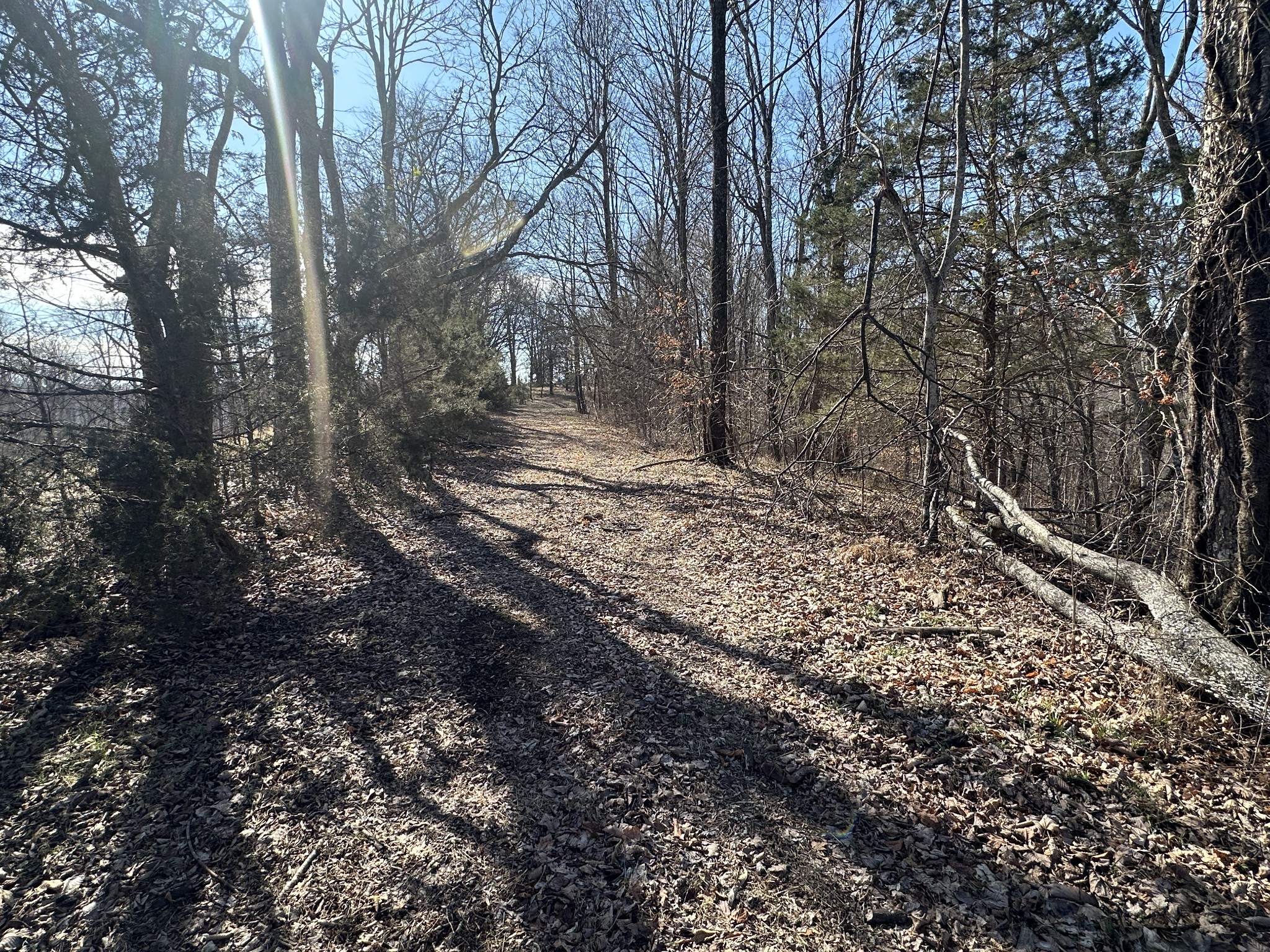 0 Hurricane Ridge Road Smithville TN 37166