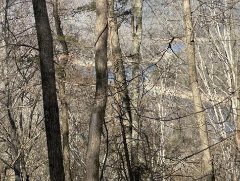 0 Hurricane Ridge Road Smithville TN 37166