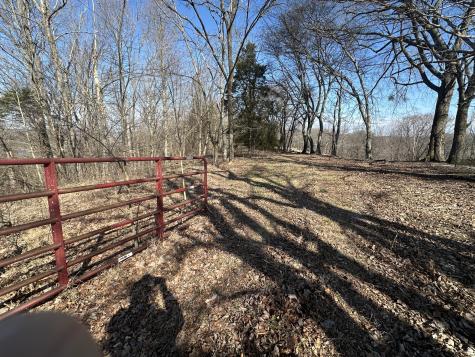 0 Hurricane Ridge Road Smithville TN 37166