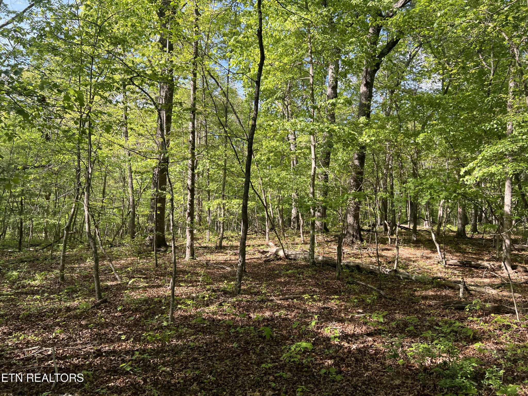 328 Peavine Firetower Road Crossville TN 38571