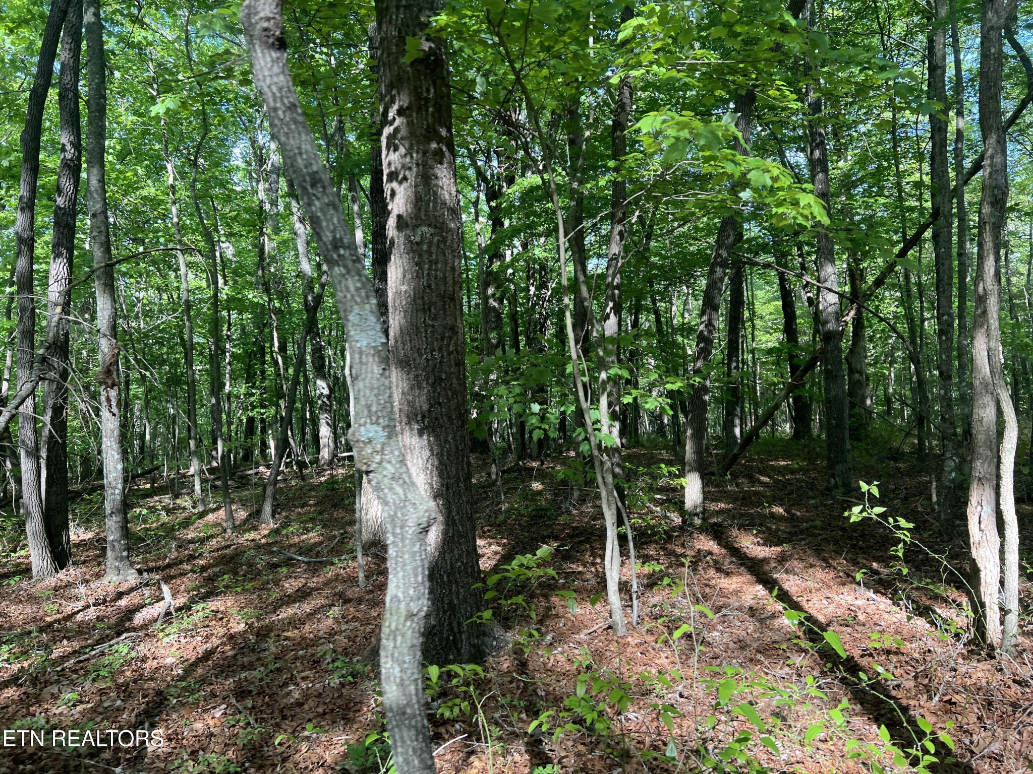 328 Peavine Firetower Road Crossville TN 38571