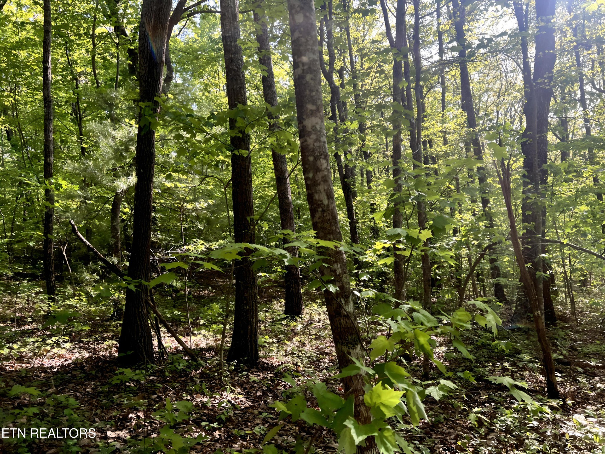 328 Peavine Firetower Road Crossville TN 38571