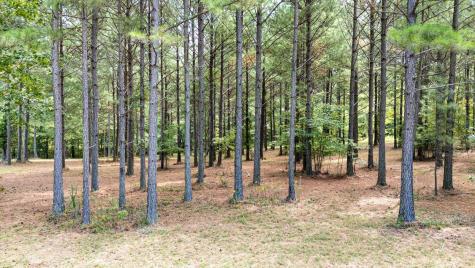 0 High Point Lane Jasper TN 37347