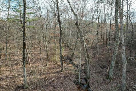 0 High Point Lane Jasper TN 37347