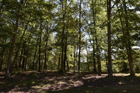 26 Parker Street, E Monteagle TN 37356