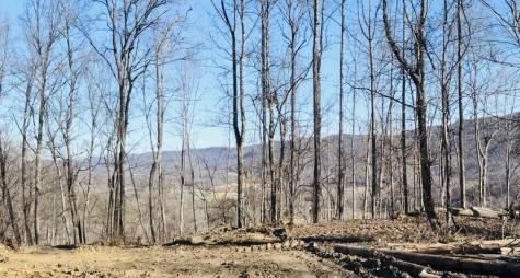 0 Campbell Highlands Drive Pioneer TN 37847