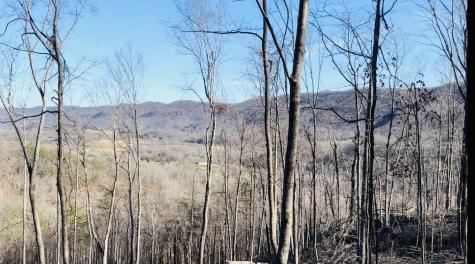 0 Campbell Highlands Drive Pioneer TN 37847