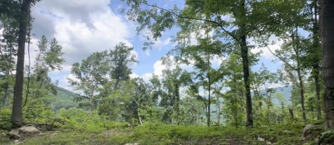 0 Campbell Highlands Drive Pioneer TN 37847
