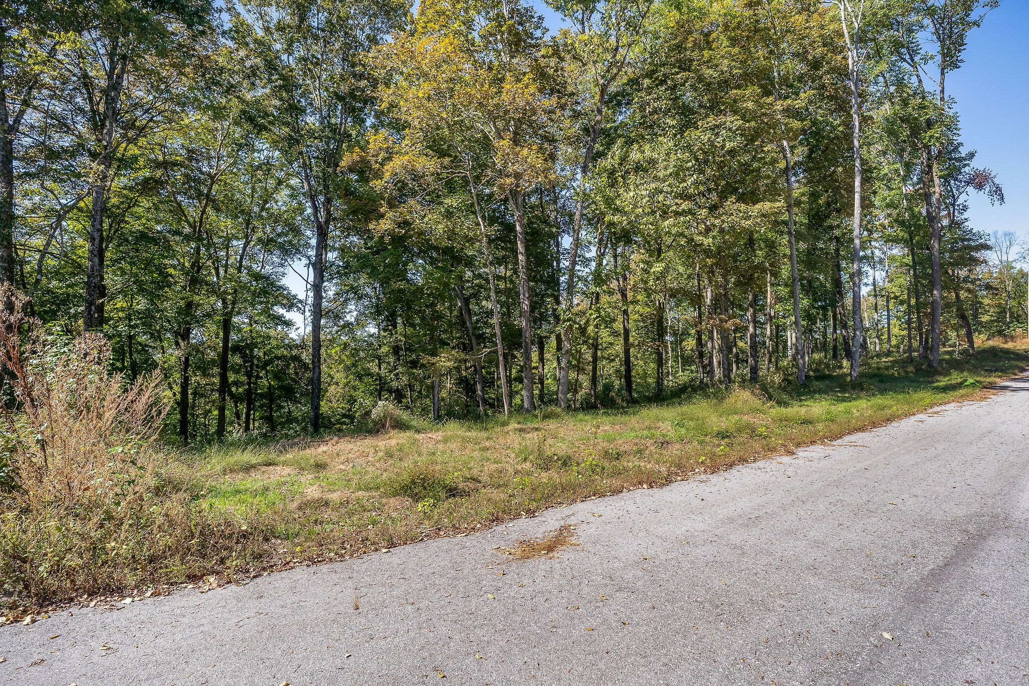 0 Back Ranch Drive Silver Point TN 38582