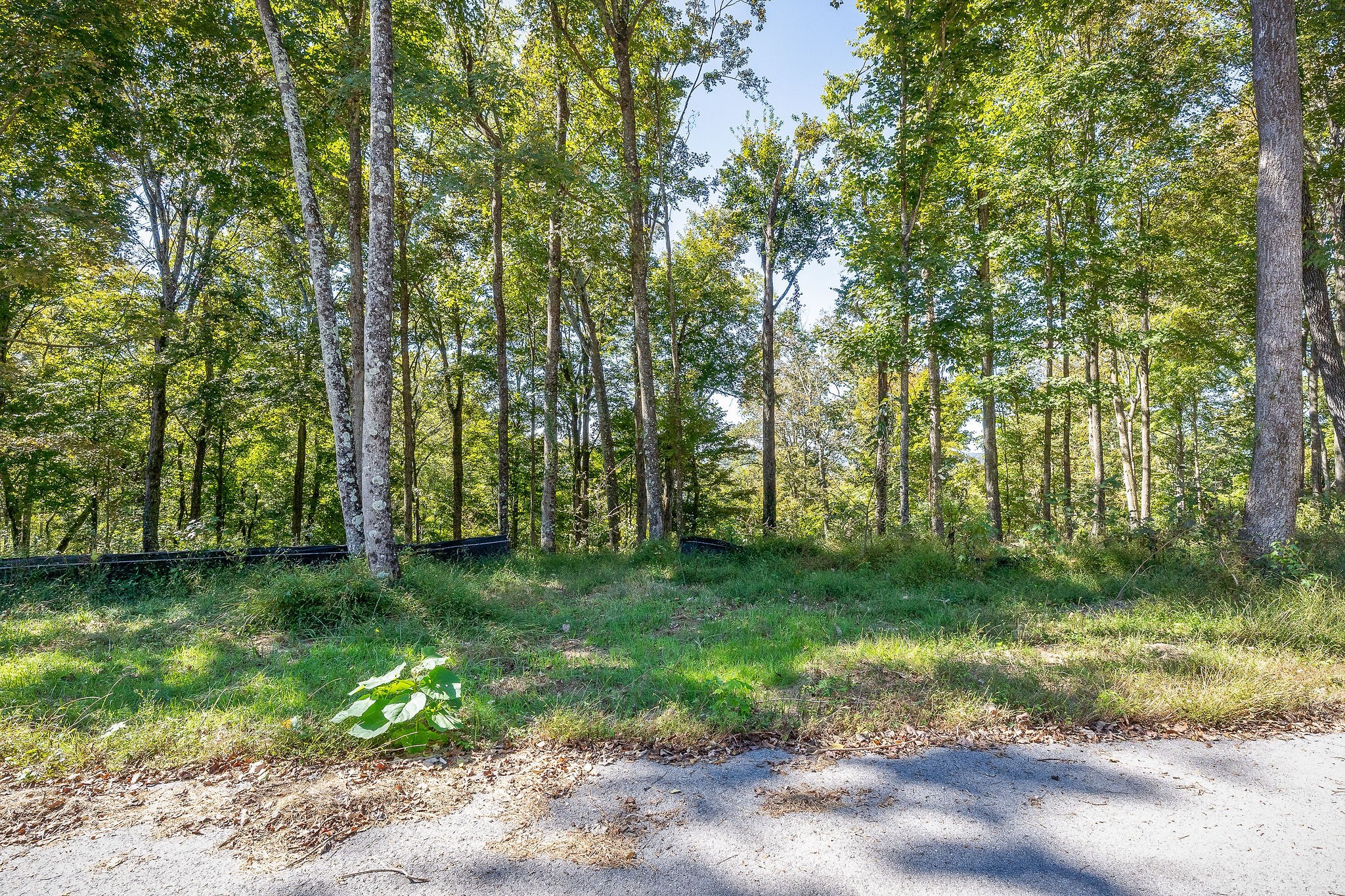 0 Back Ranch Drive Silver Point TN 38582