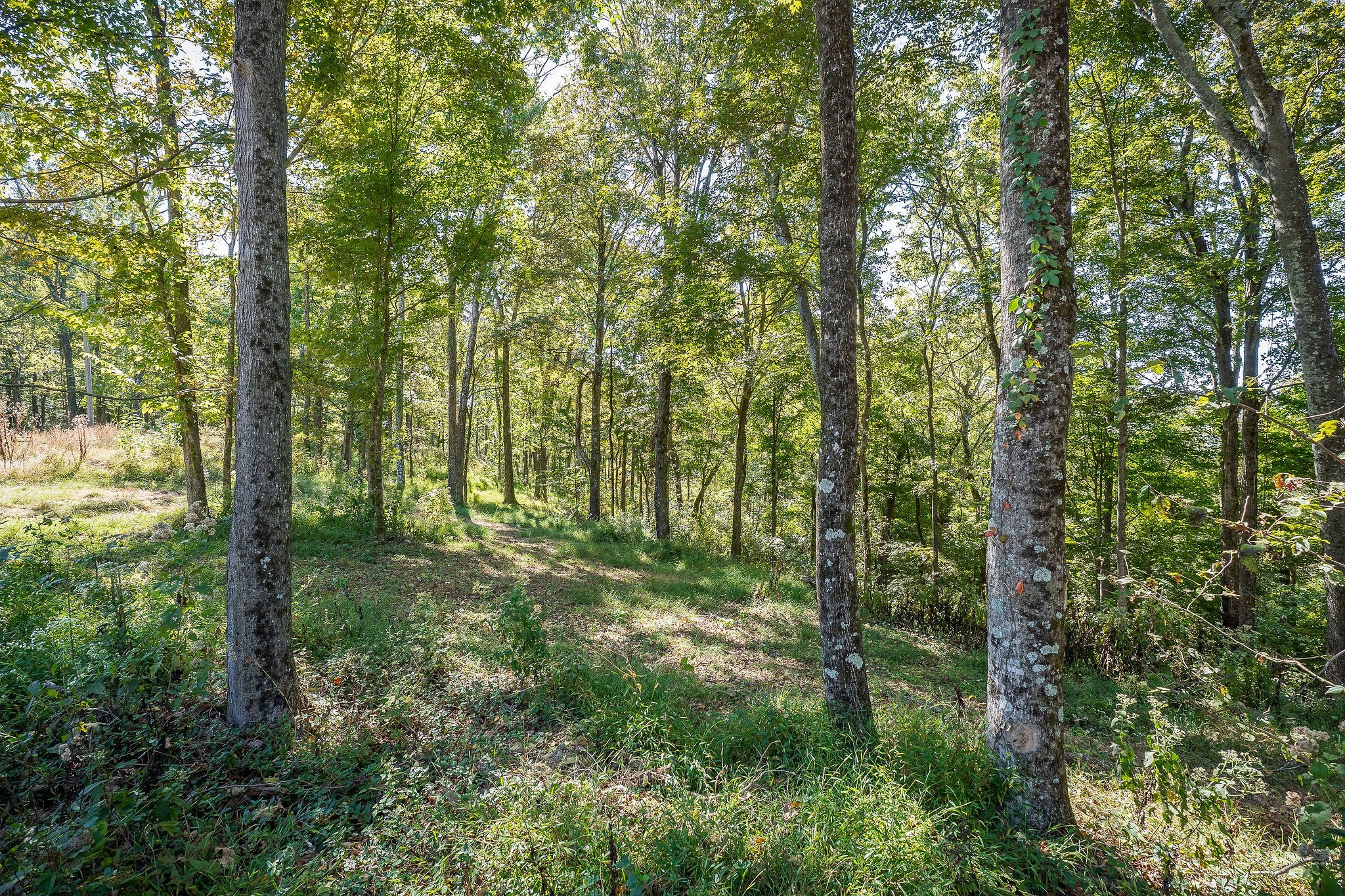 0 Back Ranch Drive Silver Point TN 38582