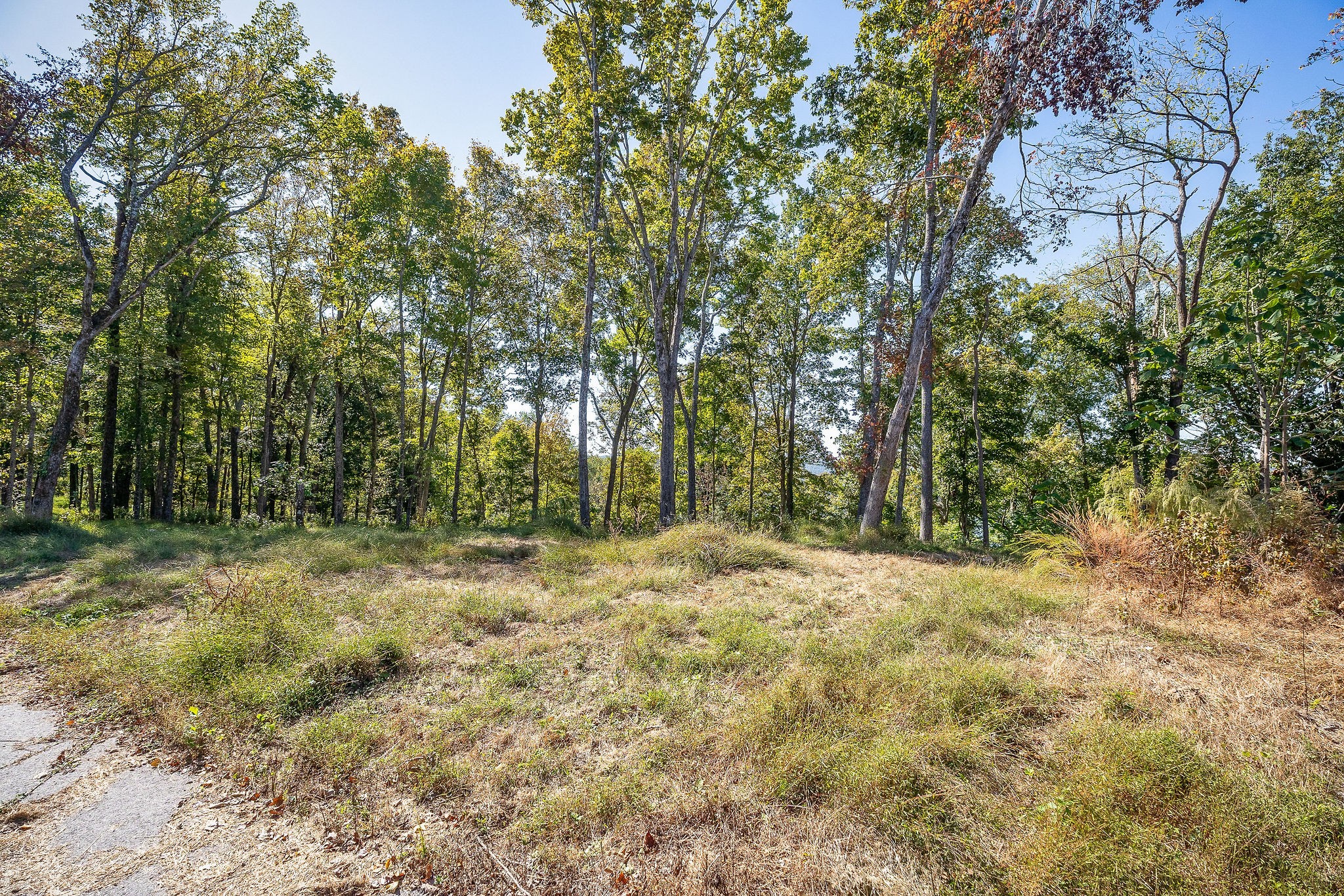0 Back Ranch Drive Silver Point TN 38582