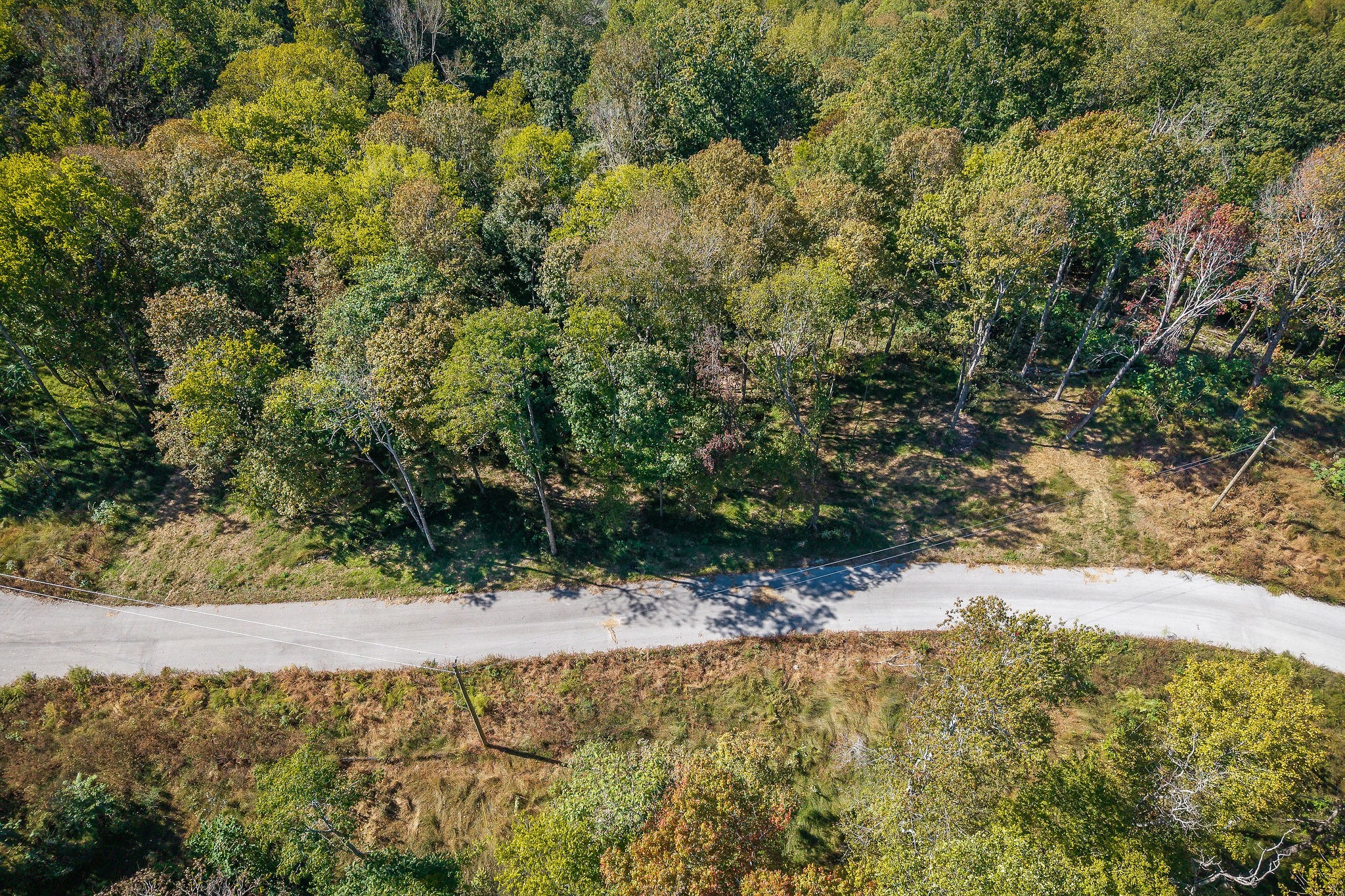 0 Back Ranch Drive Silver Point TN 38582