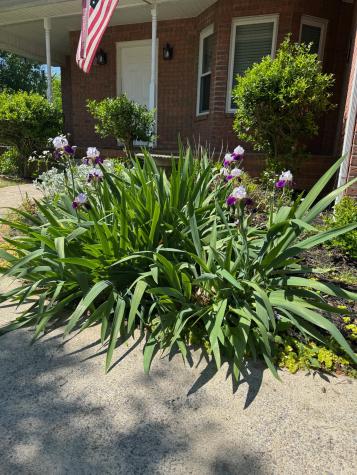 1545 Nathan Court Murfreesboro TN 37130