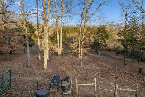 20151 Ben Fly Road Lyles TN 37098
