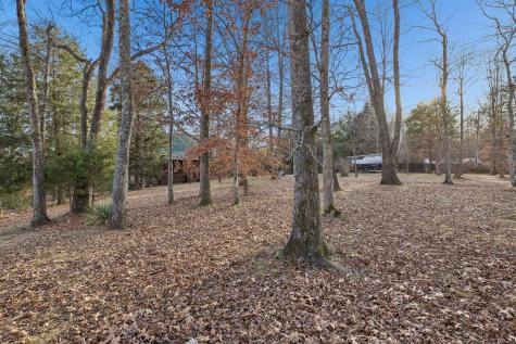 20151 Ben Fly Road Lyles TN 37098