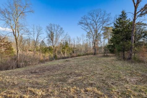 20151 Ben Fly Road Lyles TN 37098