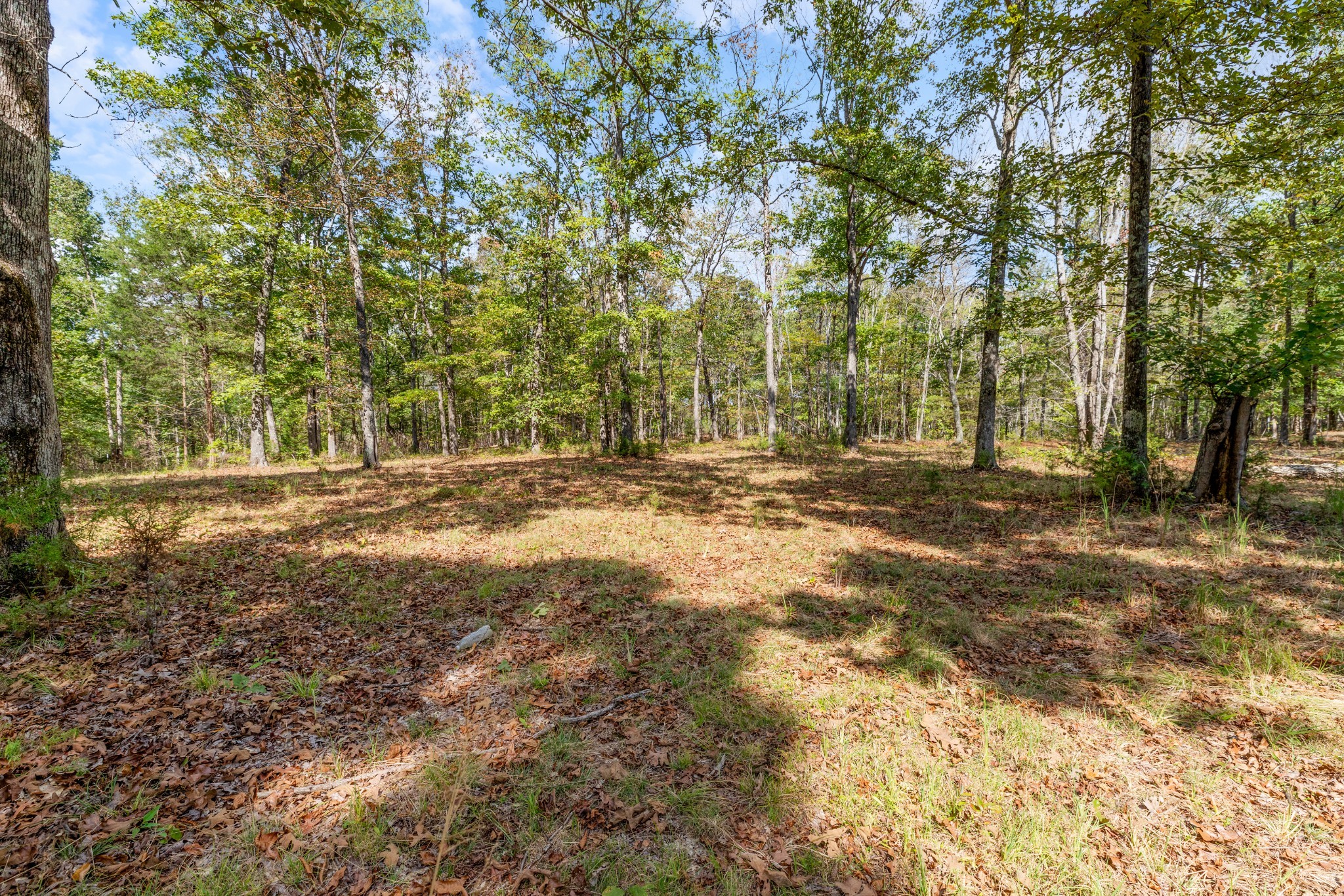 5500 Old Nashville Highway Mc Ewen TN 37101