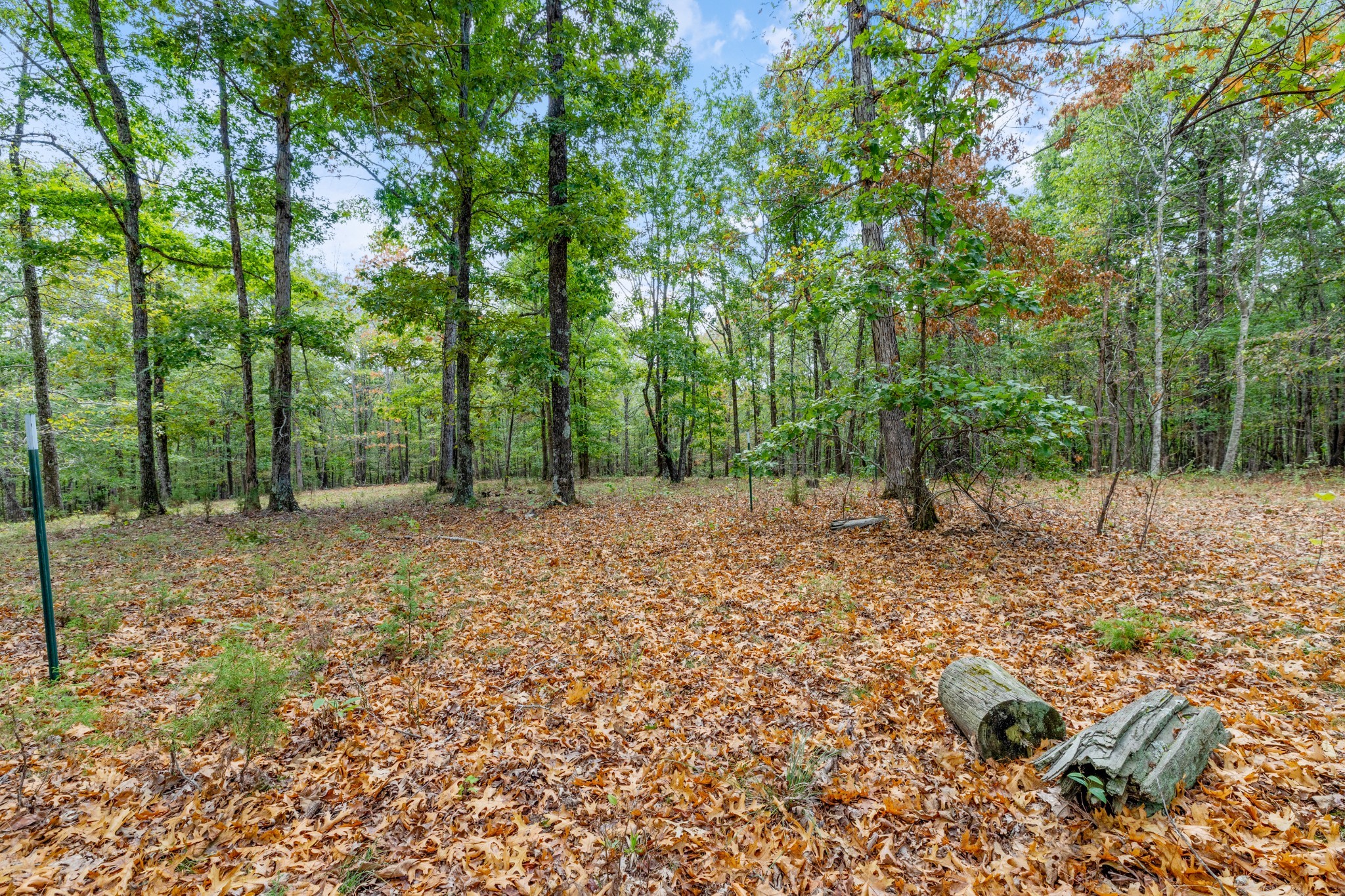 5500 Old Nashville Highway Mc Ewen TN 37101
