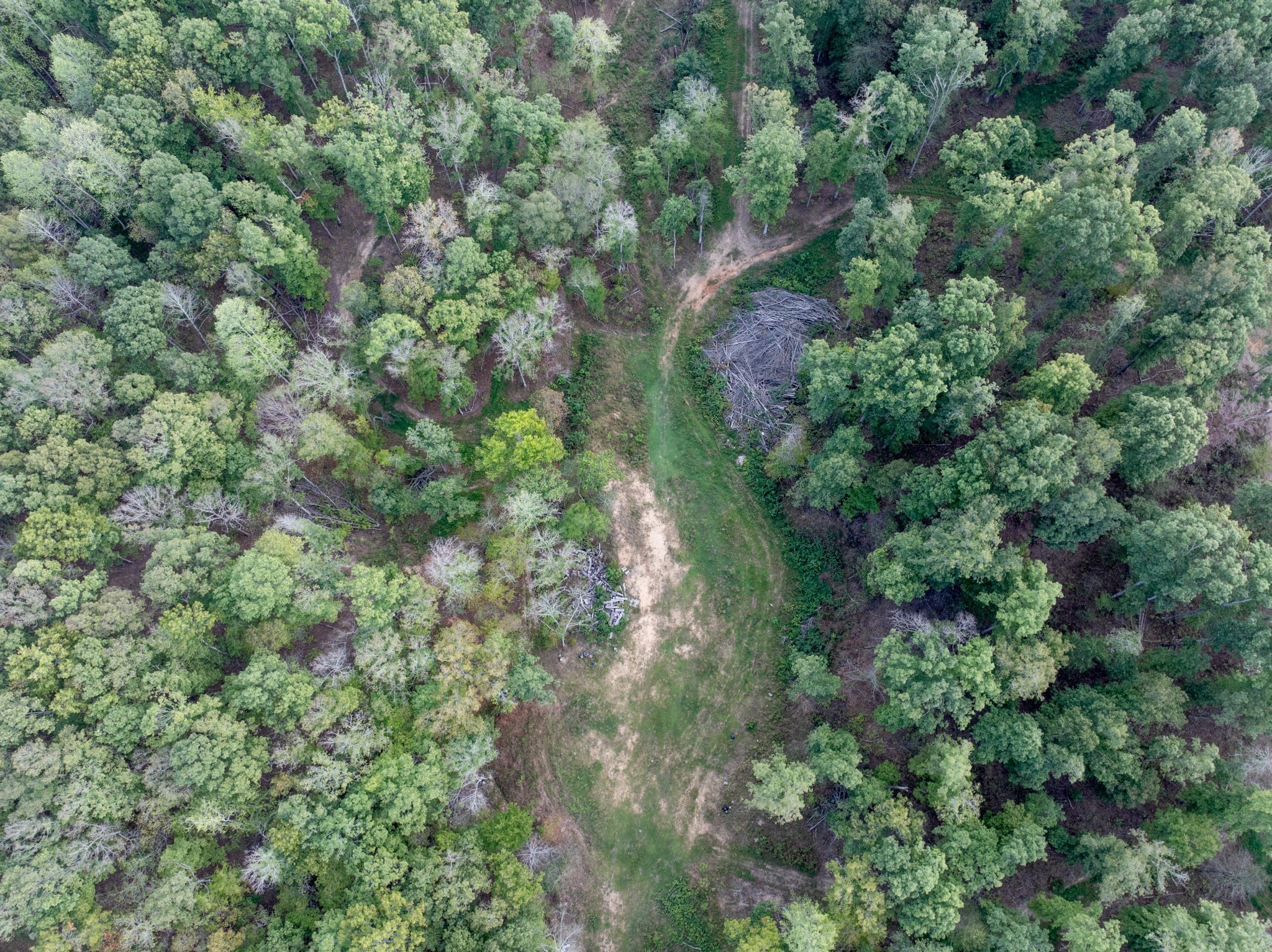 5500 Old Nashville Highway Mc Ewen TN 37101