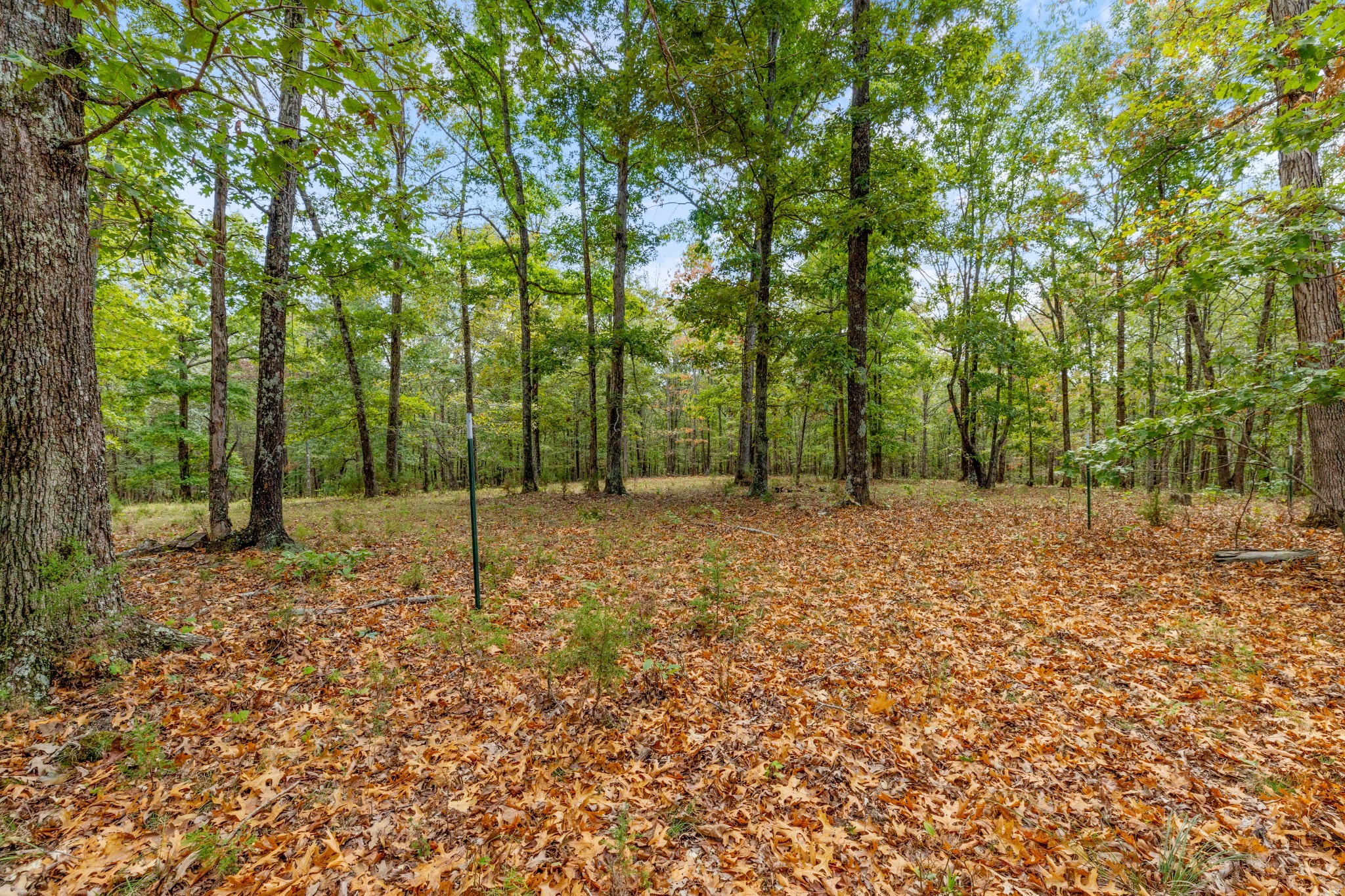 5500 Old Nashville Highway Mc Ewen TN 37101