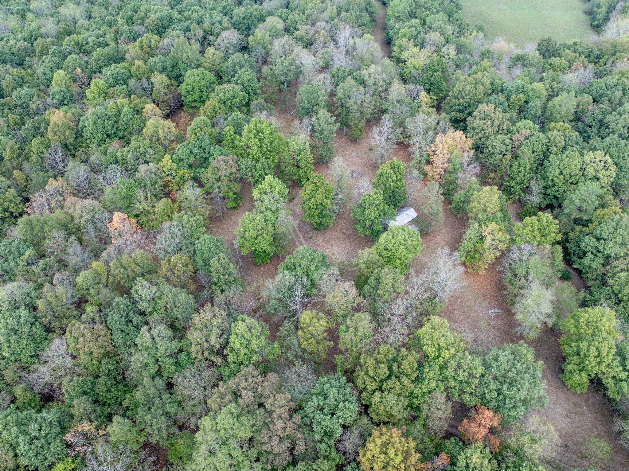 5500 Old Nashville Highway Mc Ewen TN 37101