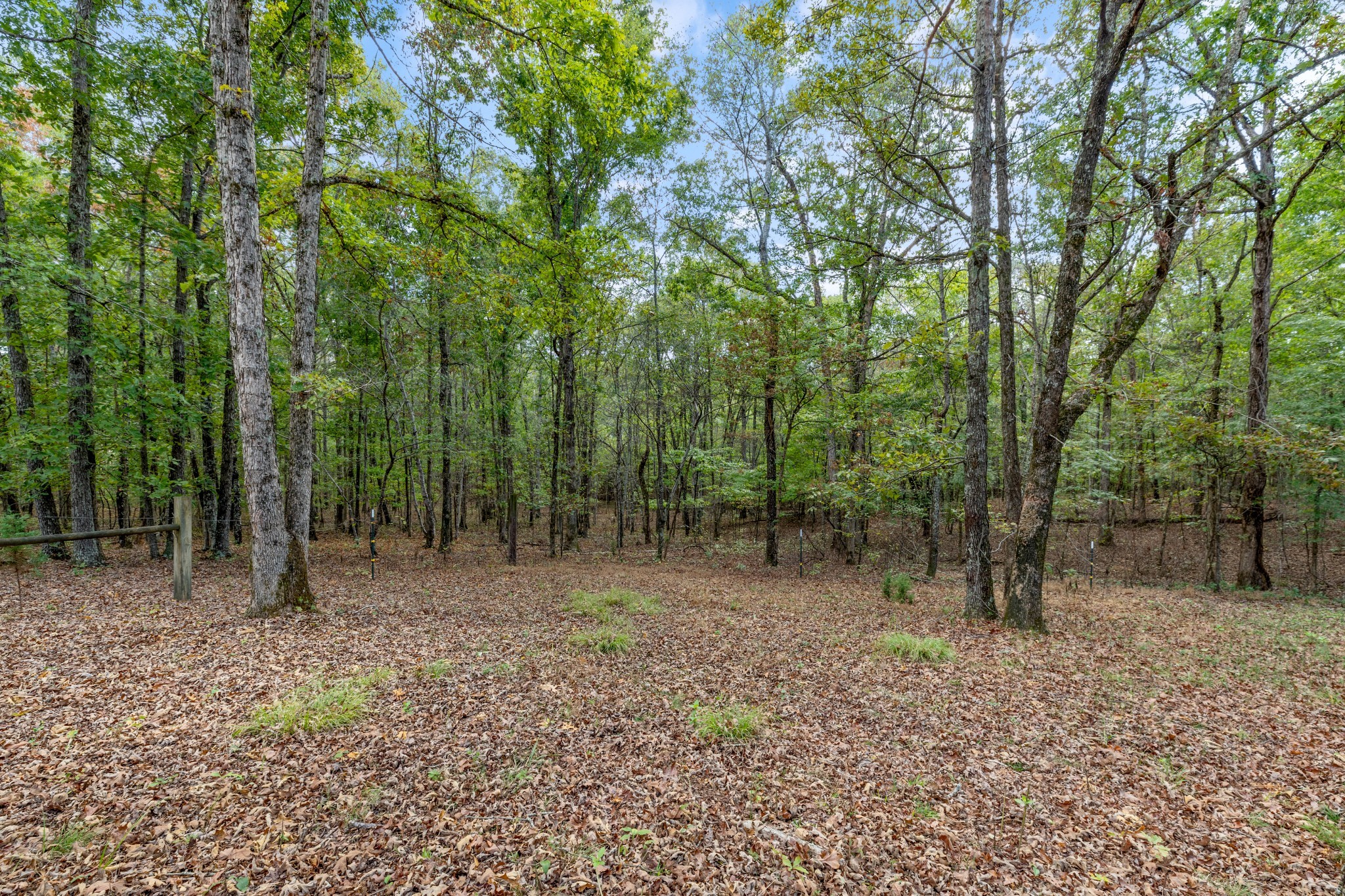 5500 Old Nashville Highway Mc Ewen TN 37101
