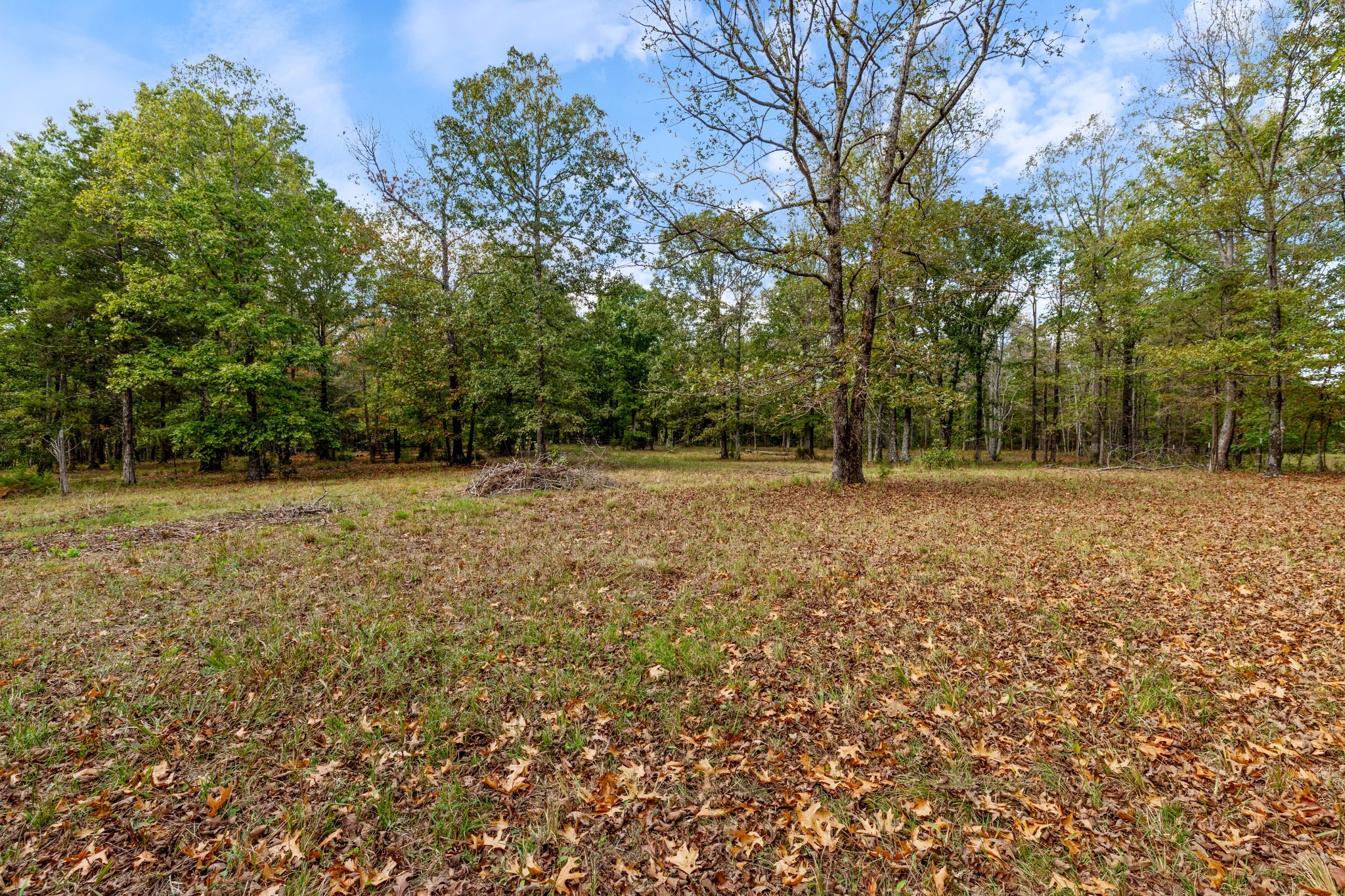5500 Old Nashville Highway Mc Ewen TN 37101