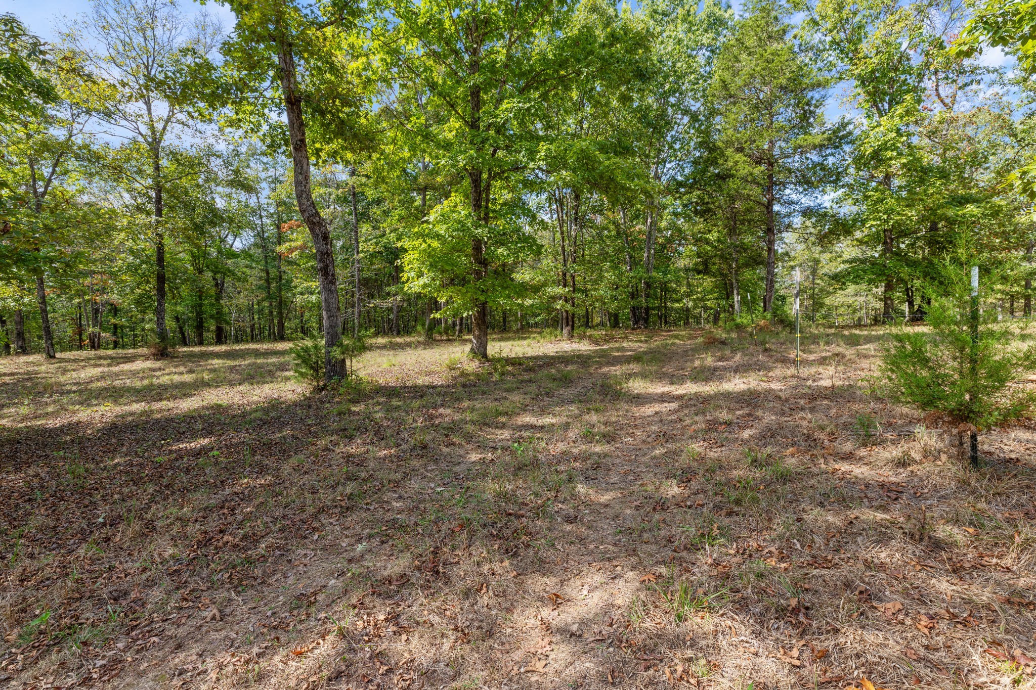 5500 Old Nashville Highway Mc Ewen TN 37101