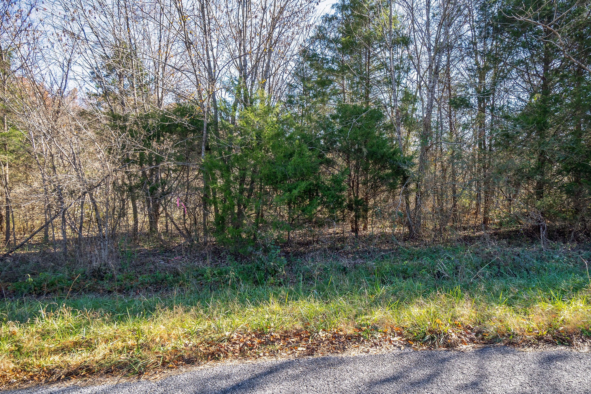 0 Bethlehem Road, E Sparta TN 38583