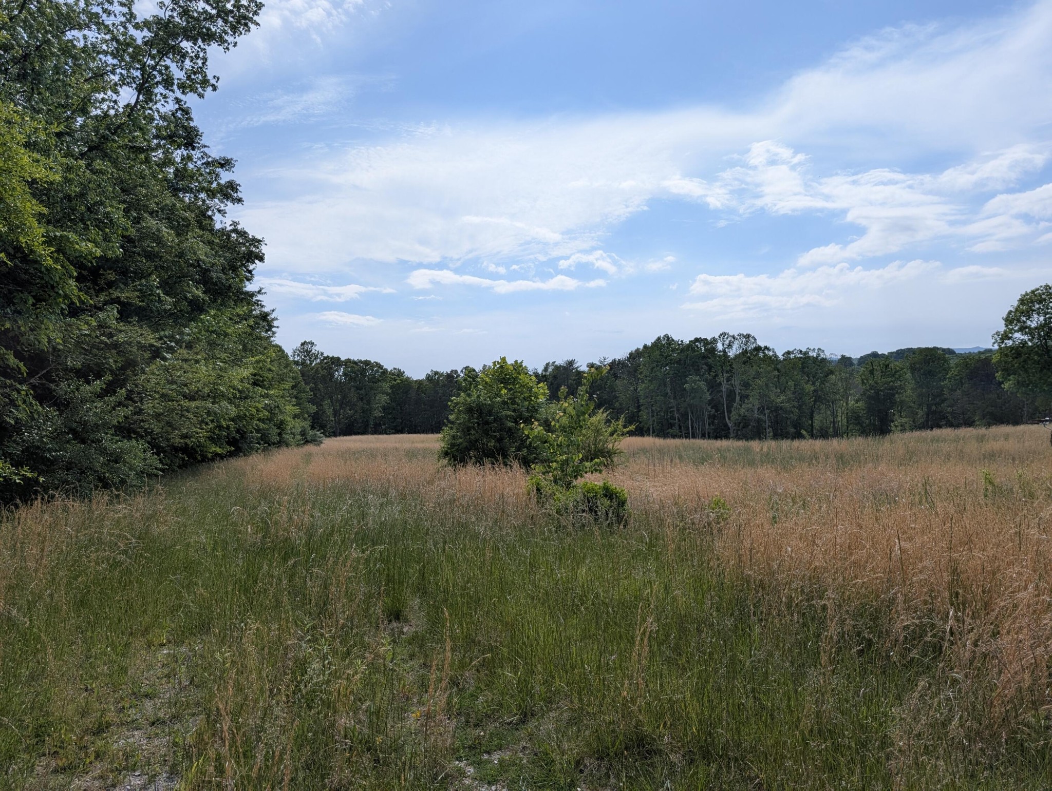 1615 Burdette Road Grandview TN 37337