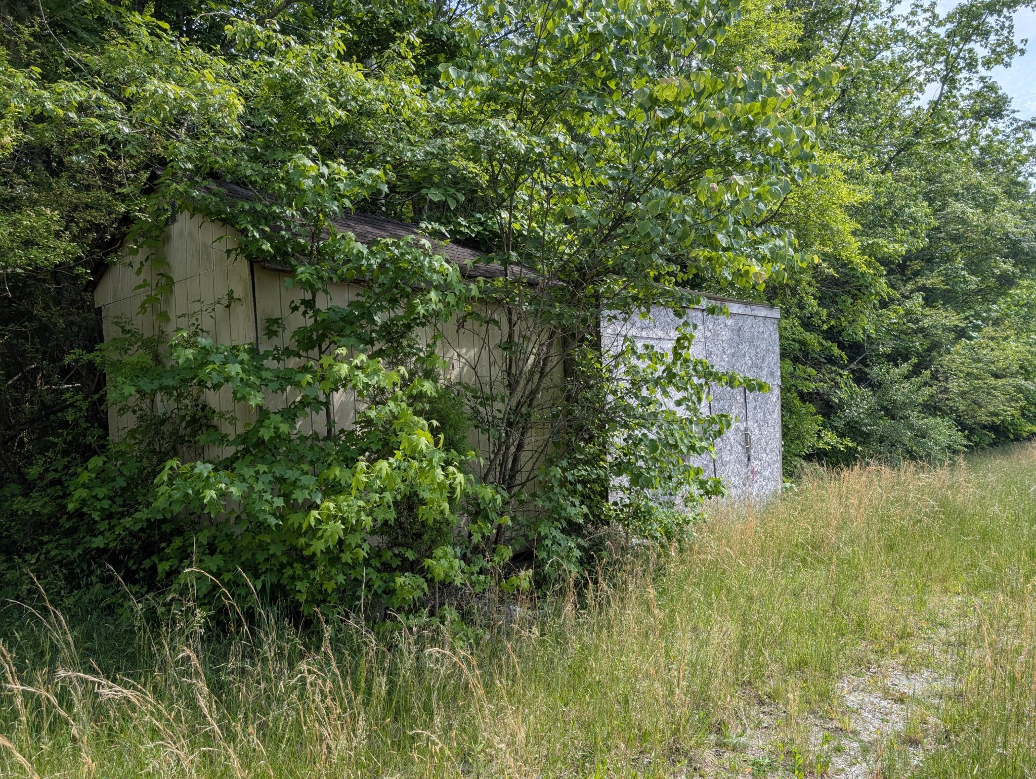 1615 Burdette Road Grandview TN 37337
