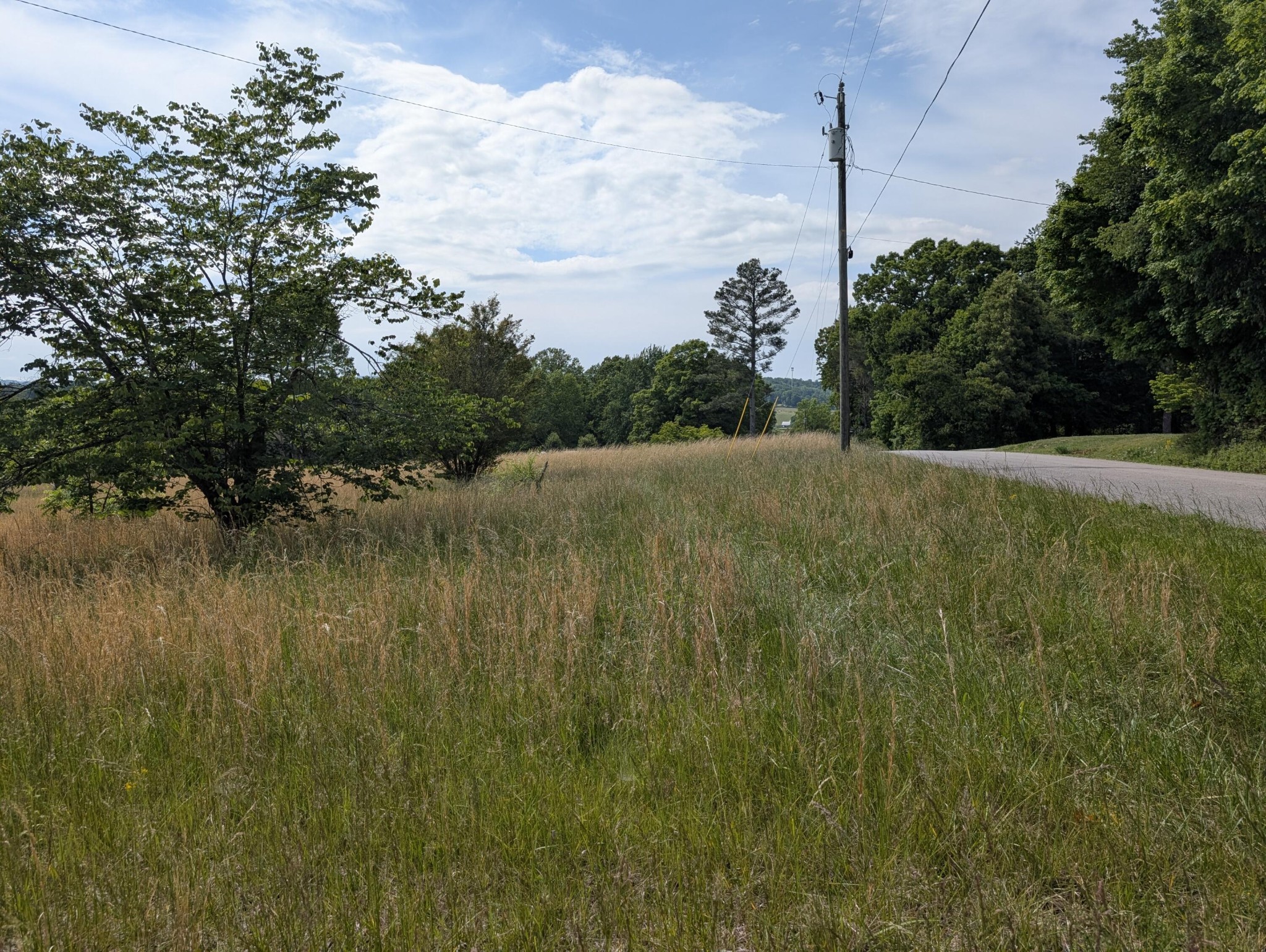 1615 Burdette Road Grandview TN 37337