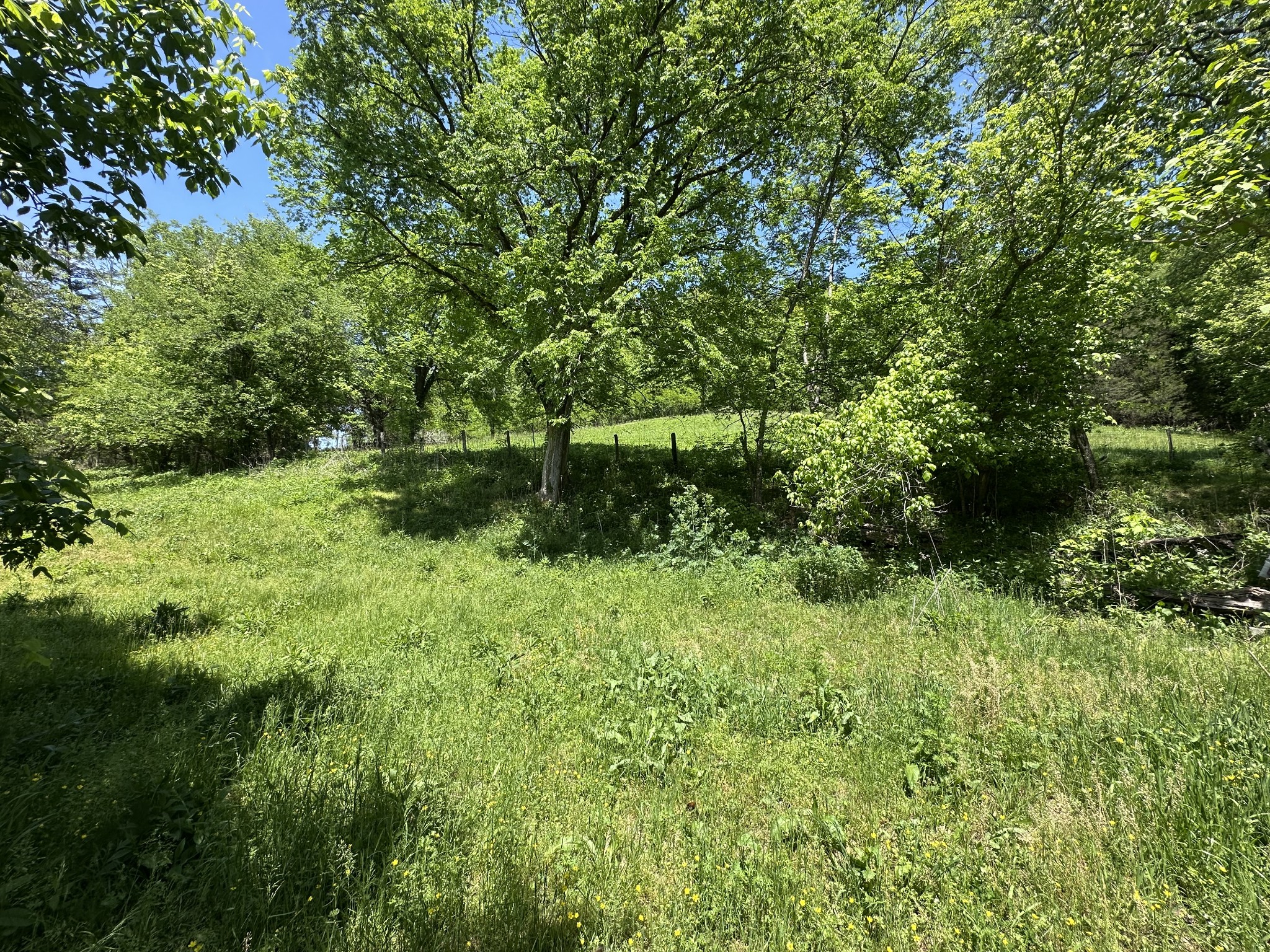 202 Maggart Road Elmwood TN 38560