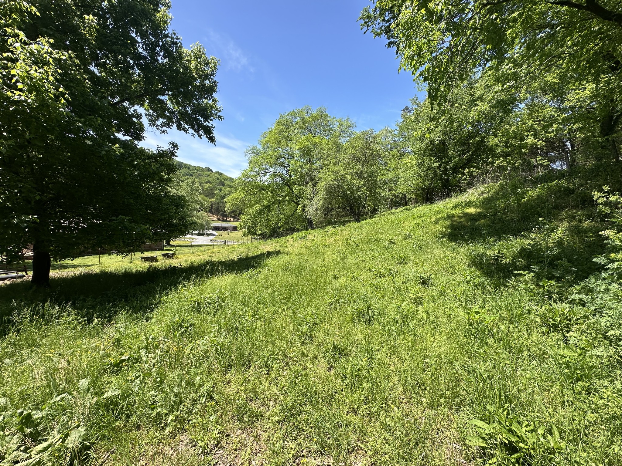 202 Maggart Road Elmwood TN 38560