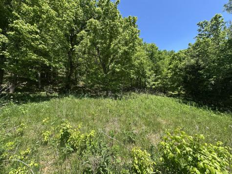 202 Maggart Road Elmwood TN 38560