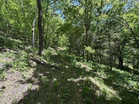 202 Maggart Road Elmwood TN 38560