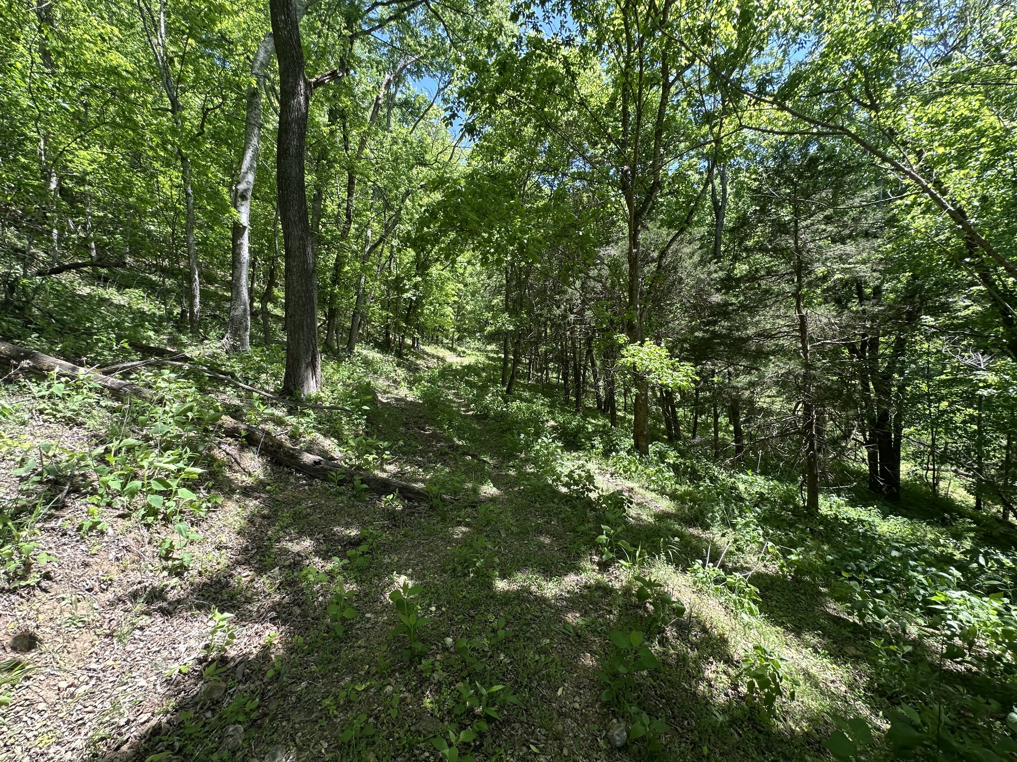 202 Maggart Road Elmwood TN 38560