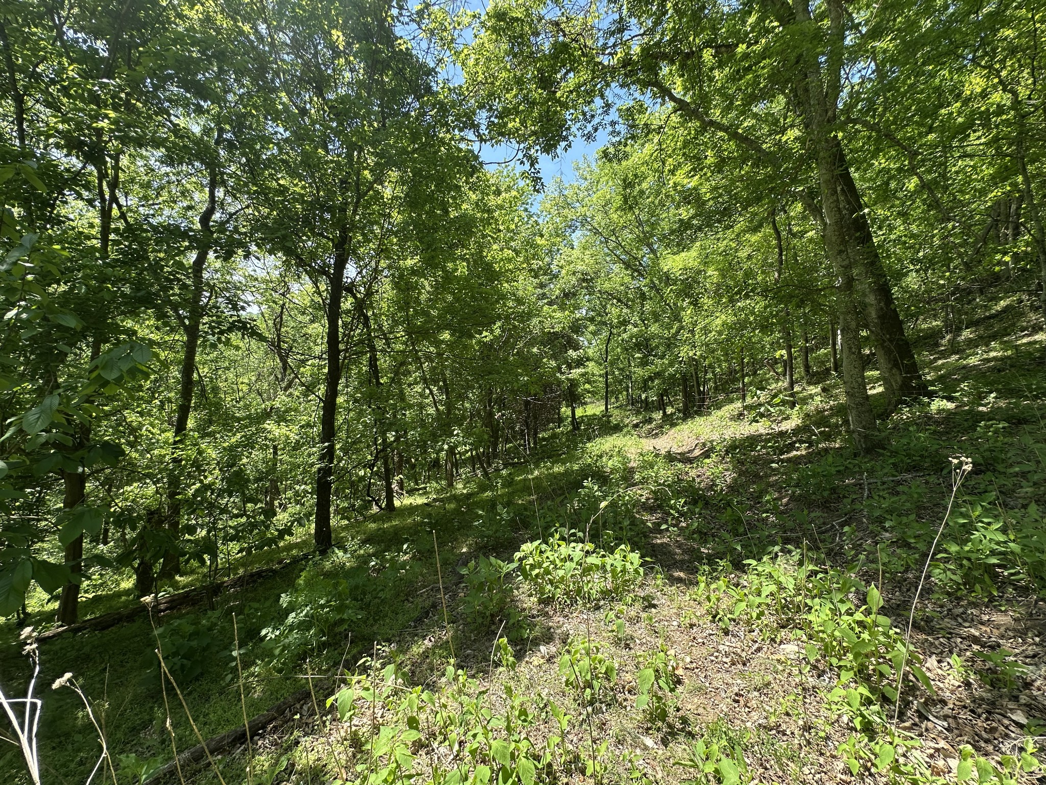 202 Maggart Road Elmwood TN 38560
