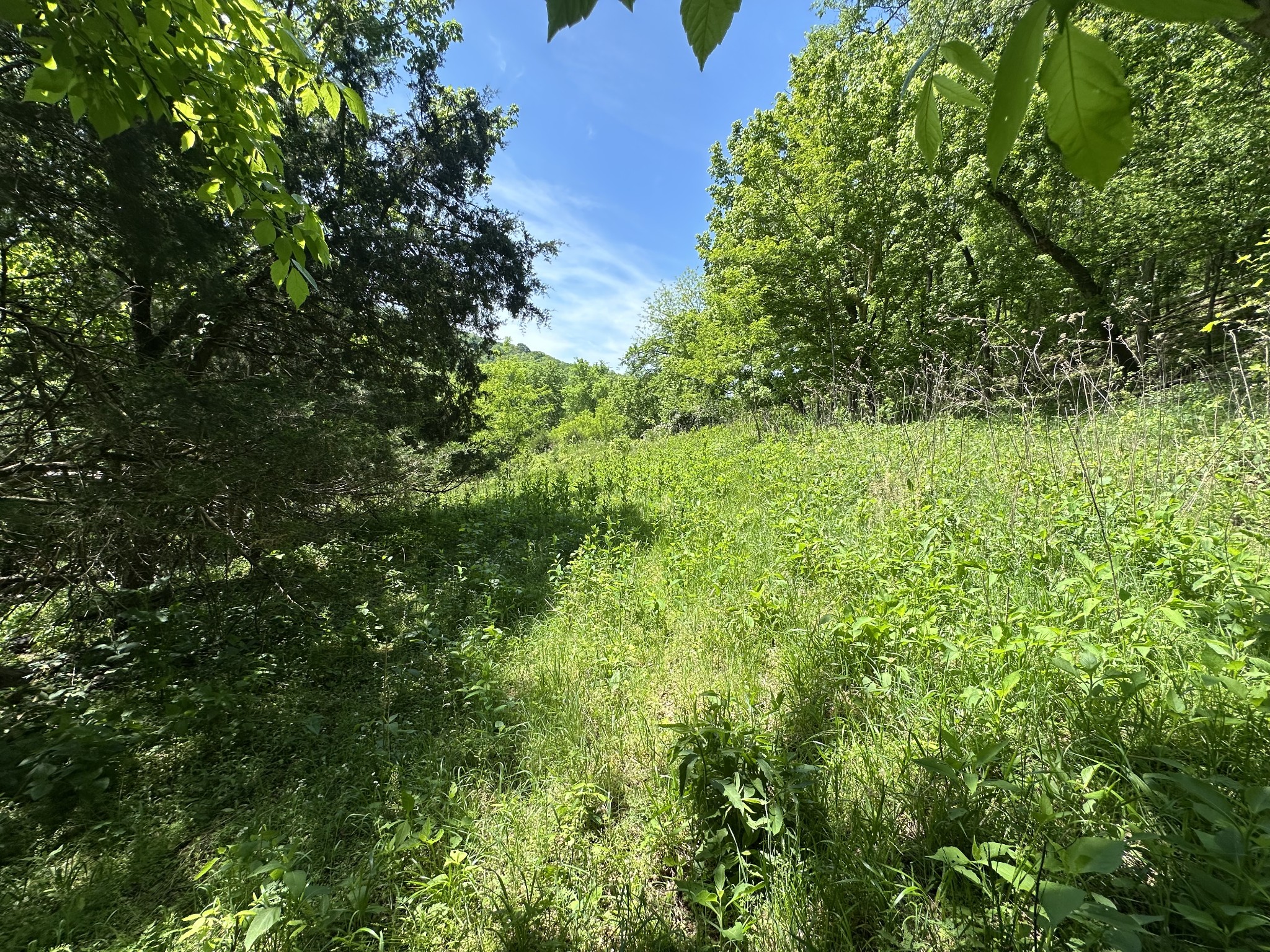 202 Maggart Road Elmwood TN 38560