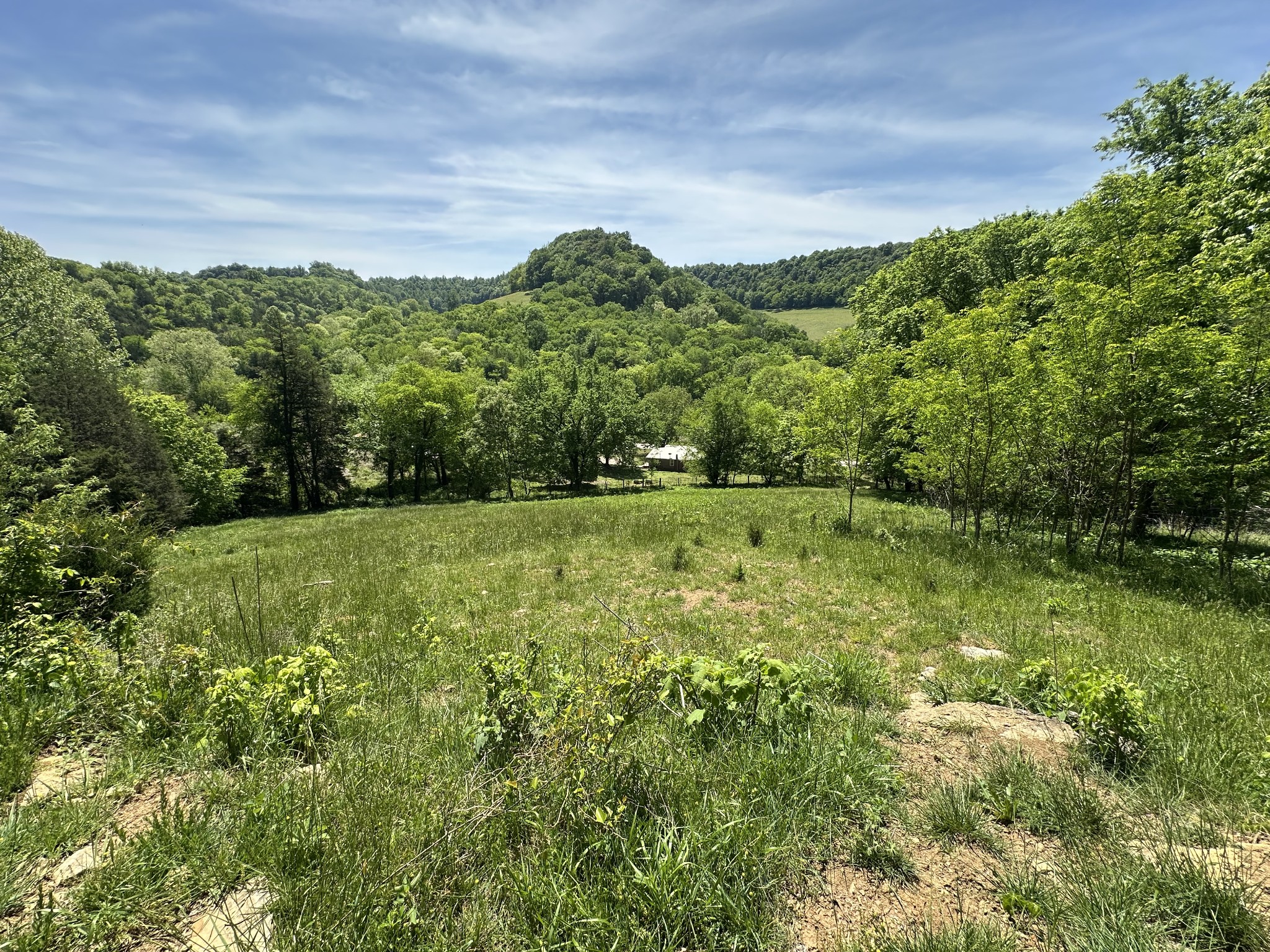 202 Maggart Road Elmwood TN 38560