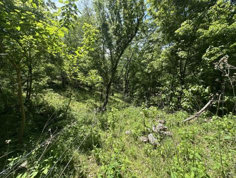 202 Maggart Road Elmwood TN 38560
