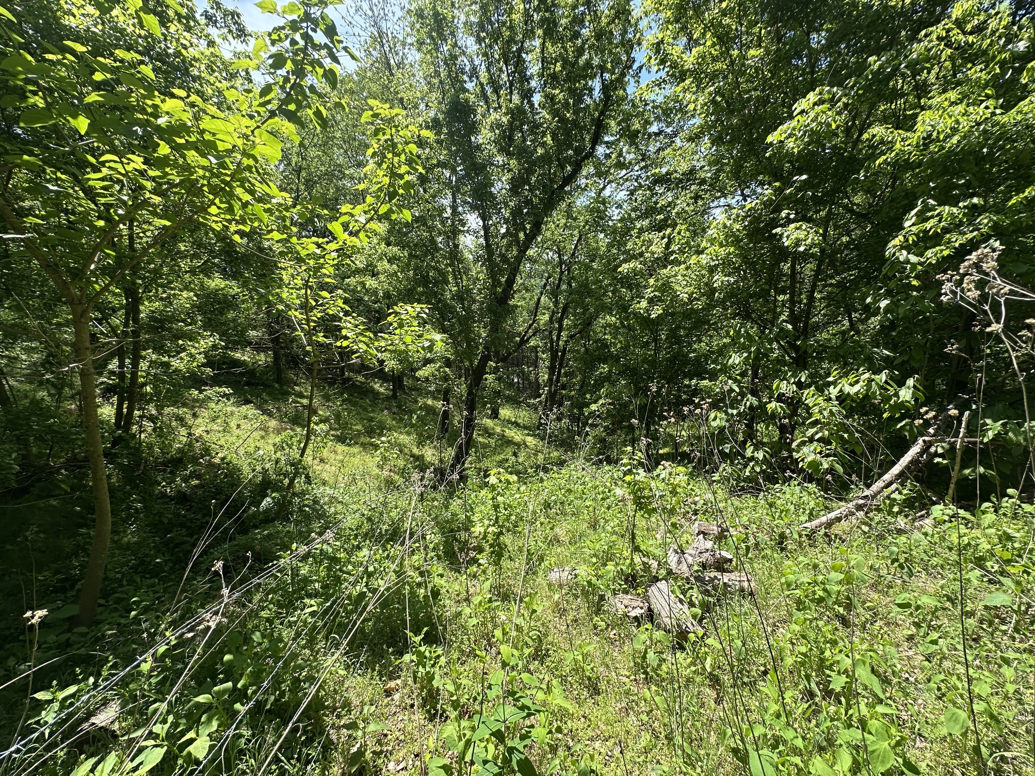202 Maggart Road Elmwood TN 38560