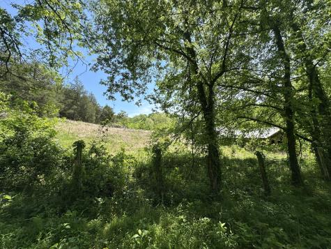 202 Maggart Road Elmwood TN 38560