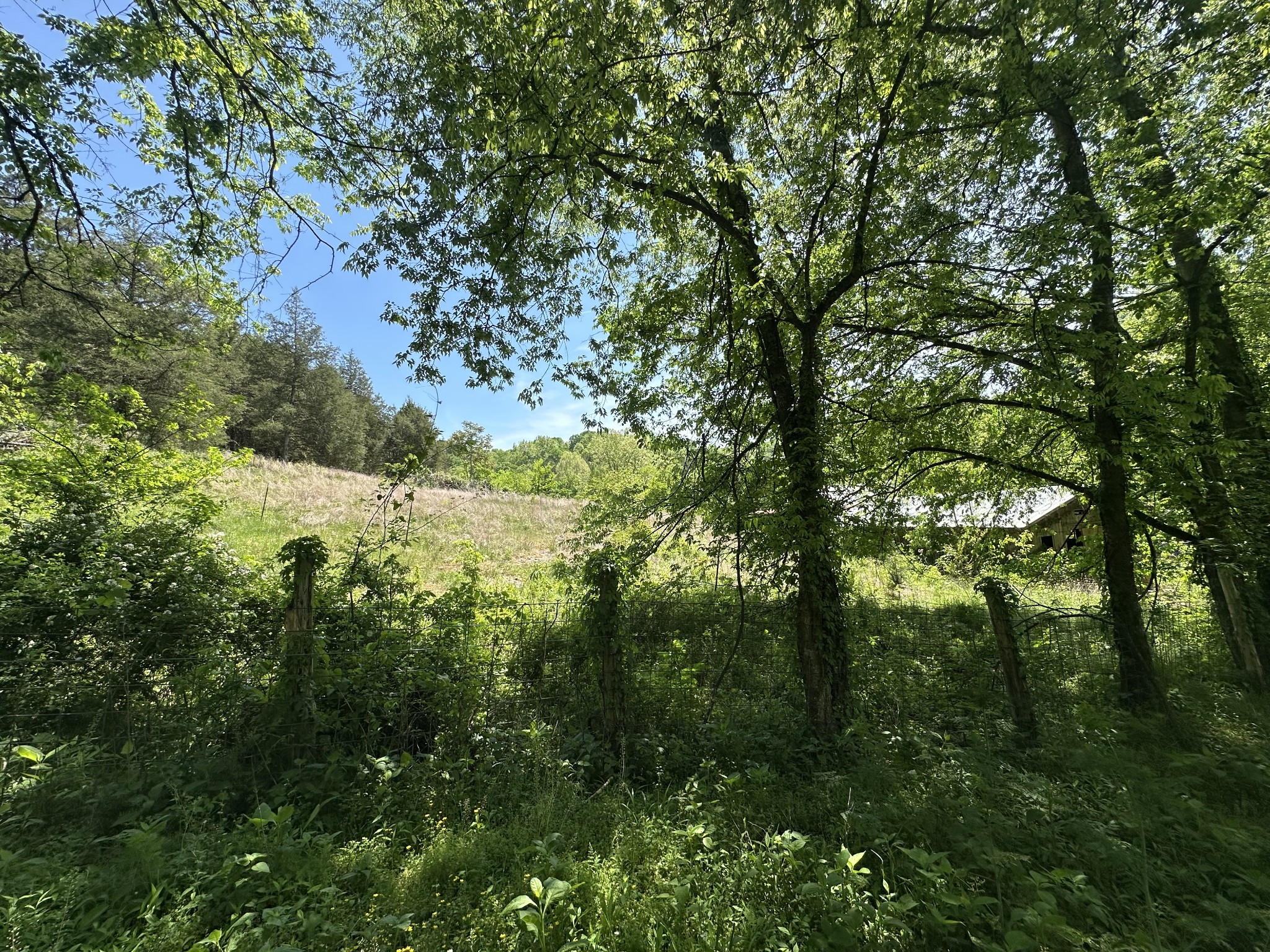 202 Maggart Road Elmwood TN 38560