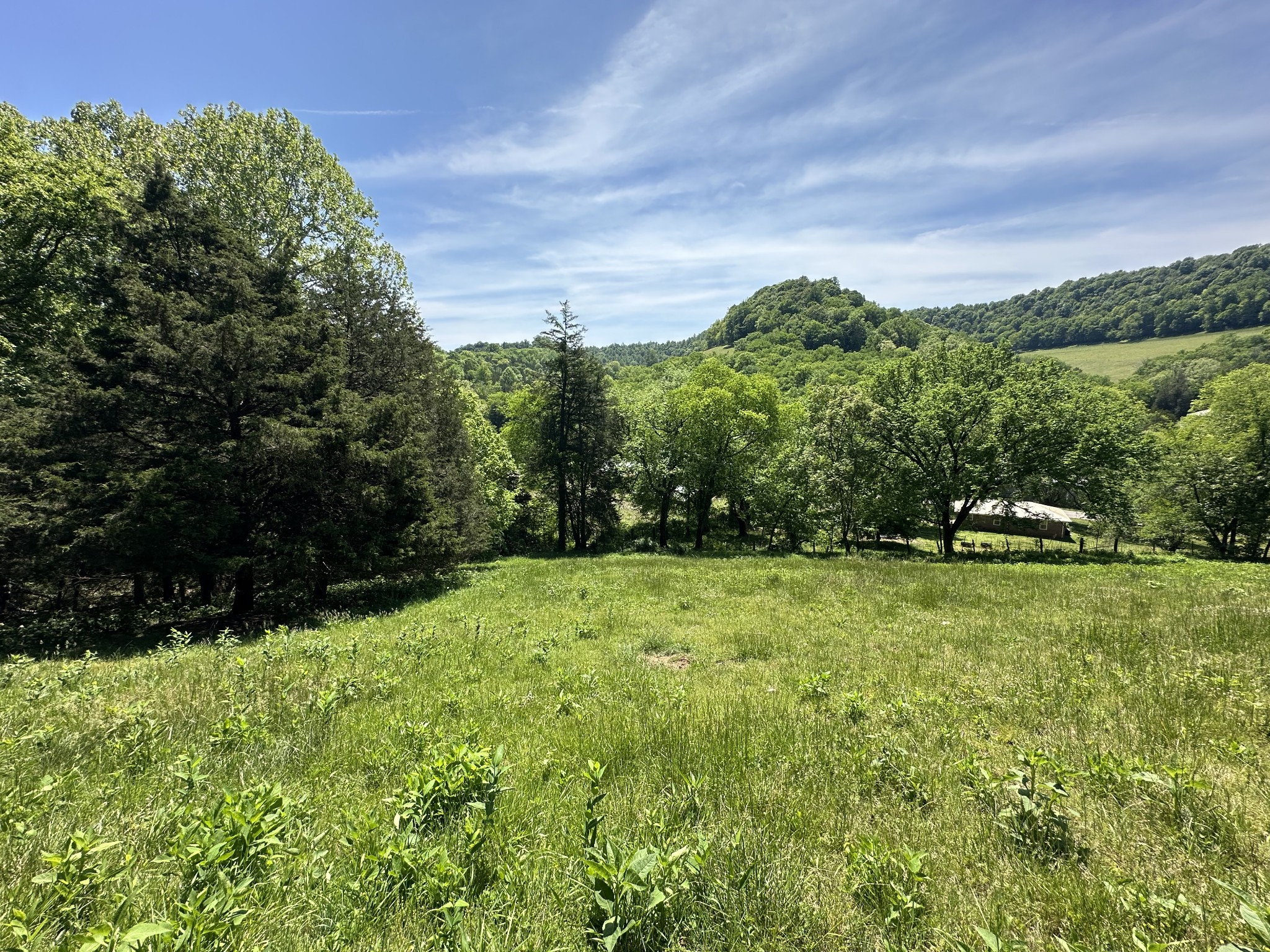 202 Maggart Road Elmwood TN 38560