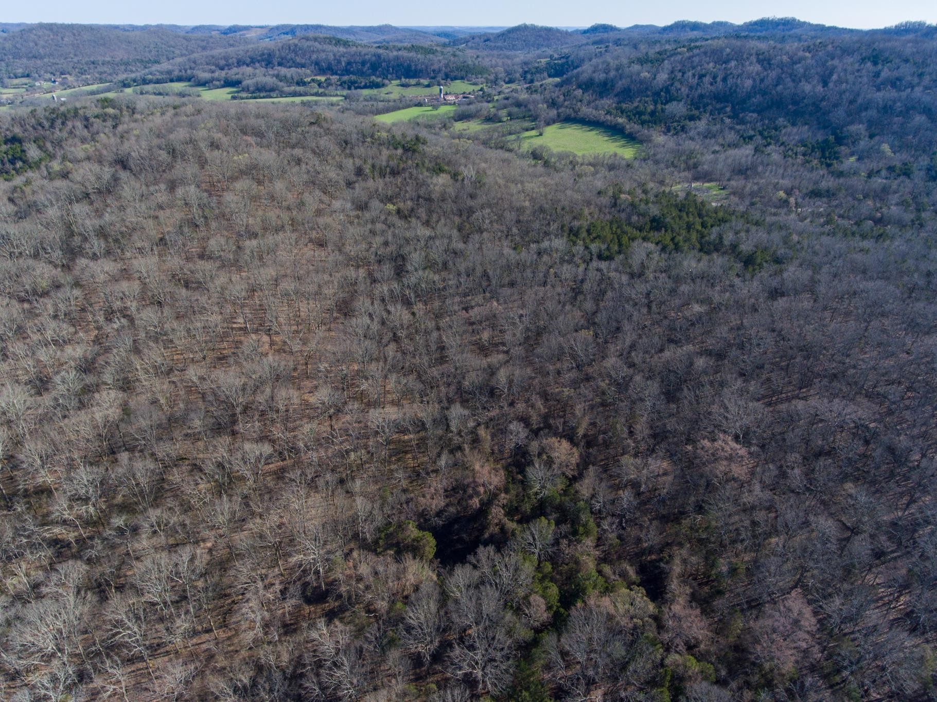 3434 Fosterville Short Creek Road Bell Buckle TN 37020