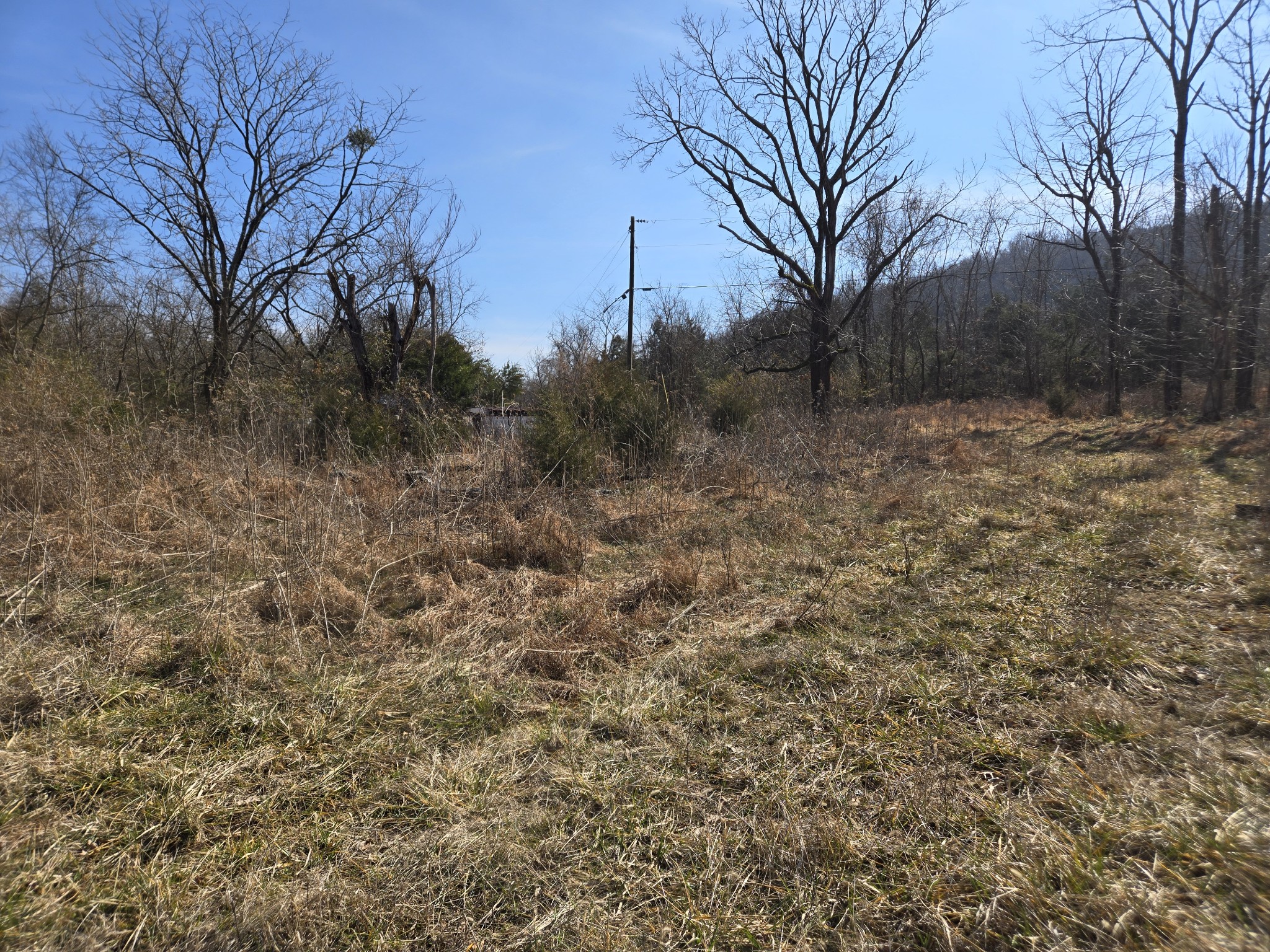 3434 Fosterville Short Creek Road Bell Buckle TN 37020