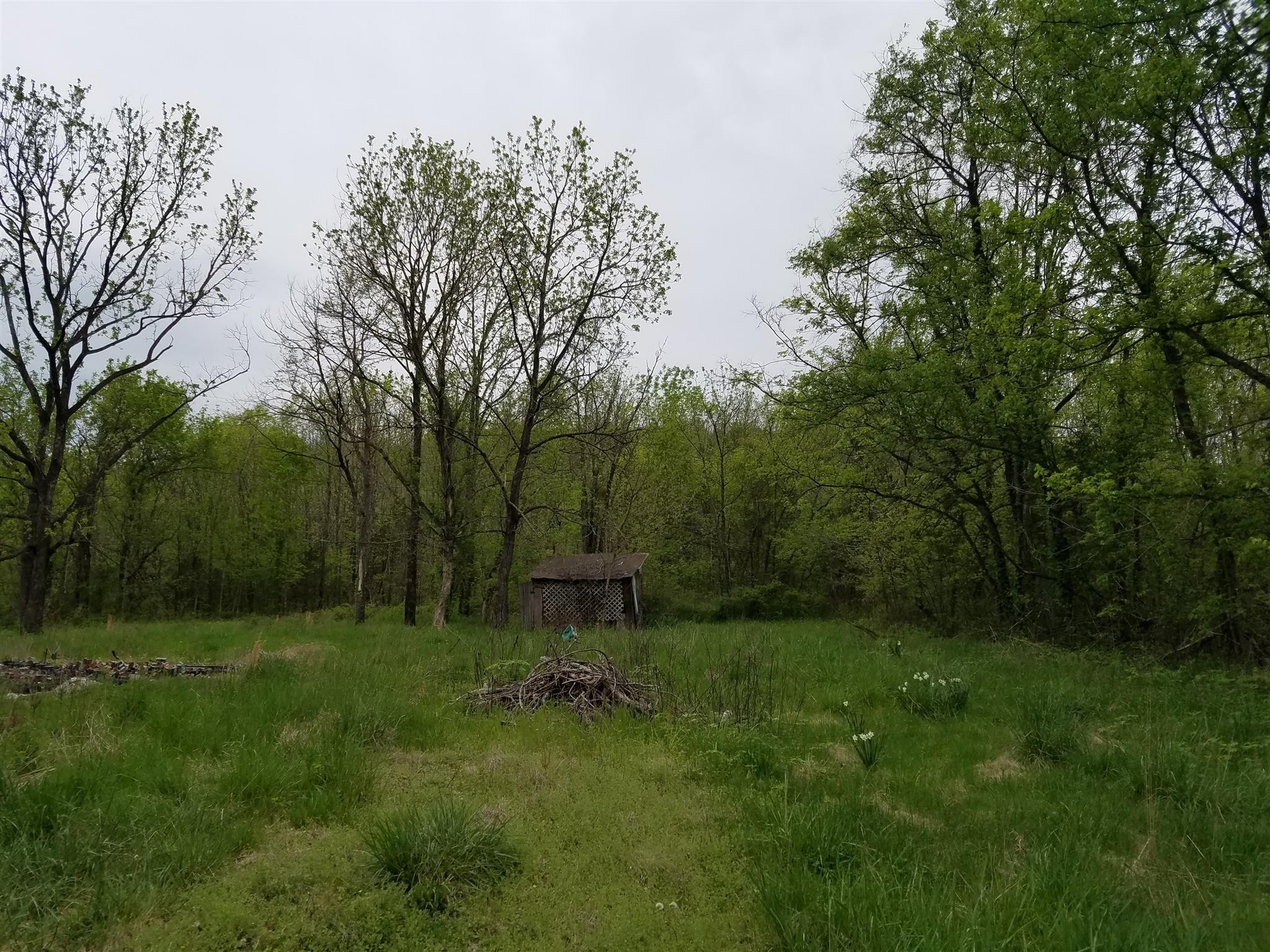 3434 Fosterville Short Creek Road Bell Buckle TN 37020
