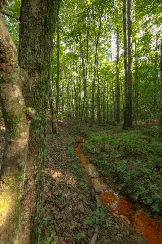 12315 Endless View Soddy Daisy TN 37379